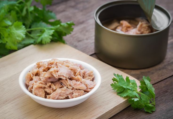 Reliable Bulk Canned Tuna Supply for UN Agencies; Tamila Agrifood’s Global Commitment